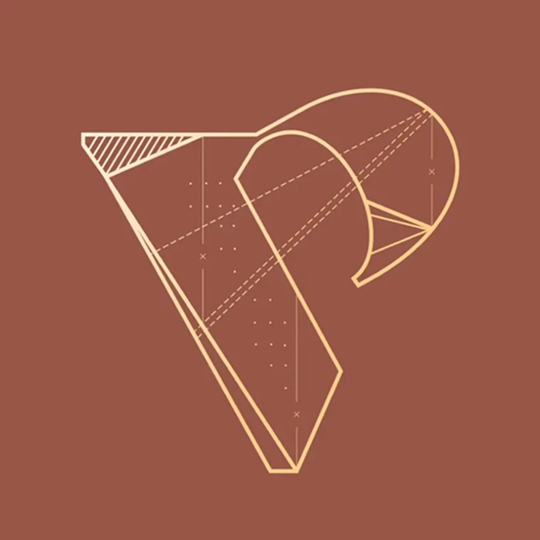 Vp Portfolio 2019