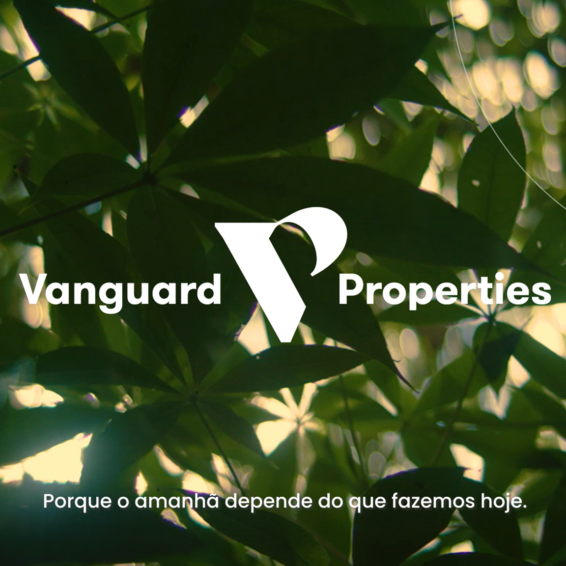 Imagem3